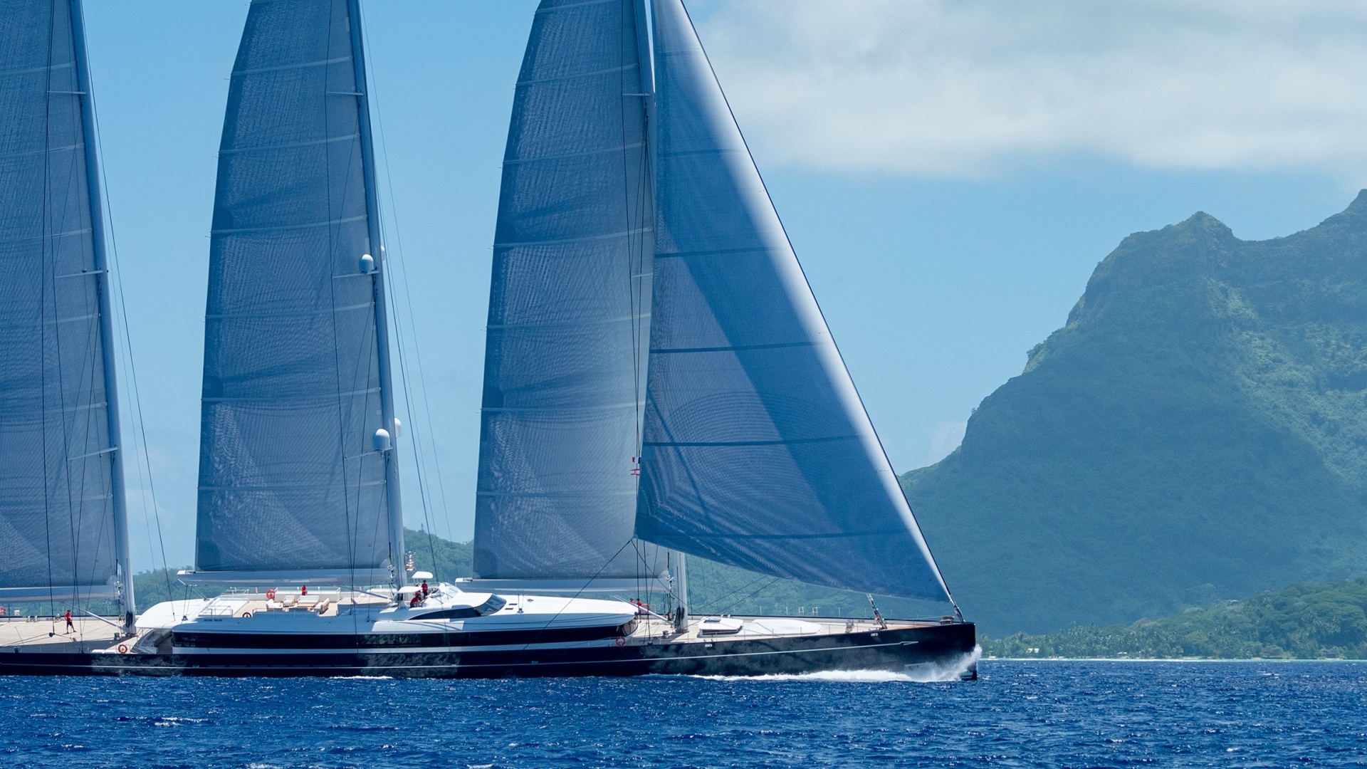 Awards winning Sea Eagle