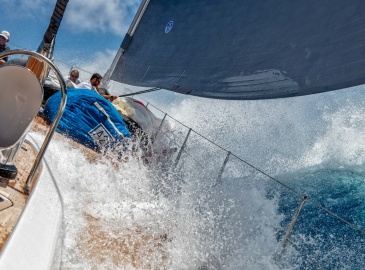 Rondal at 50 - Half a Century of Ultimate Reliability